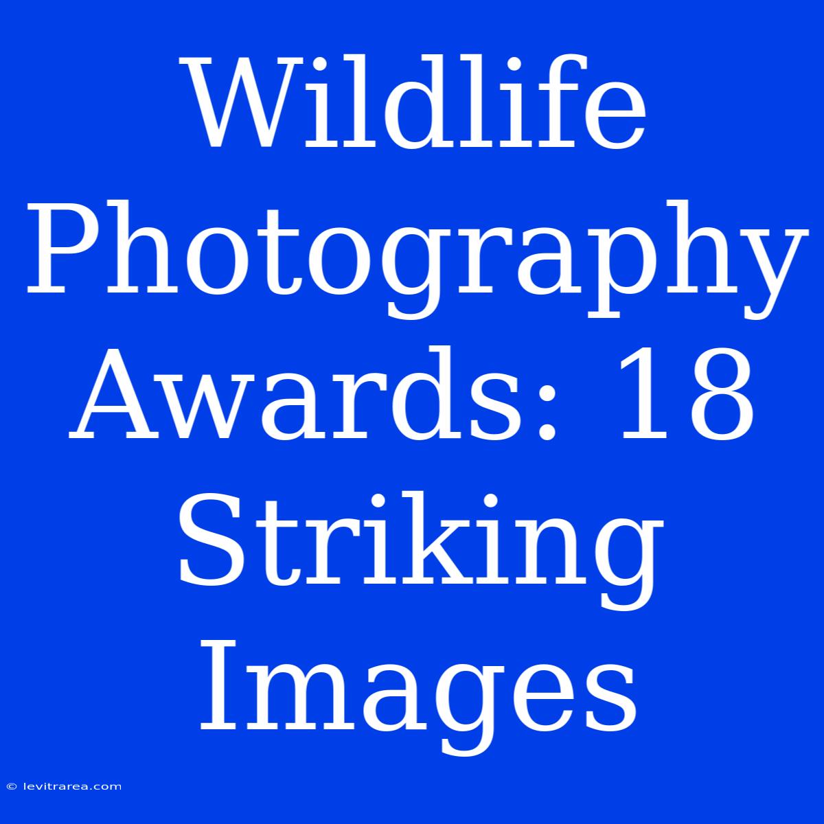 Wildlife Photography Awards: 18 Striking Images