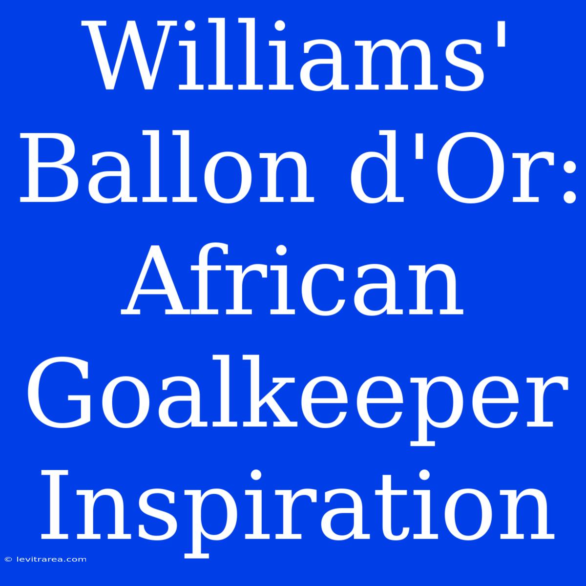 Williams' Ballon D'Or:  African Goalkeeper Inspiration