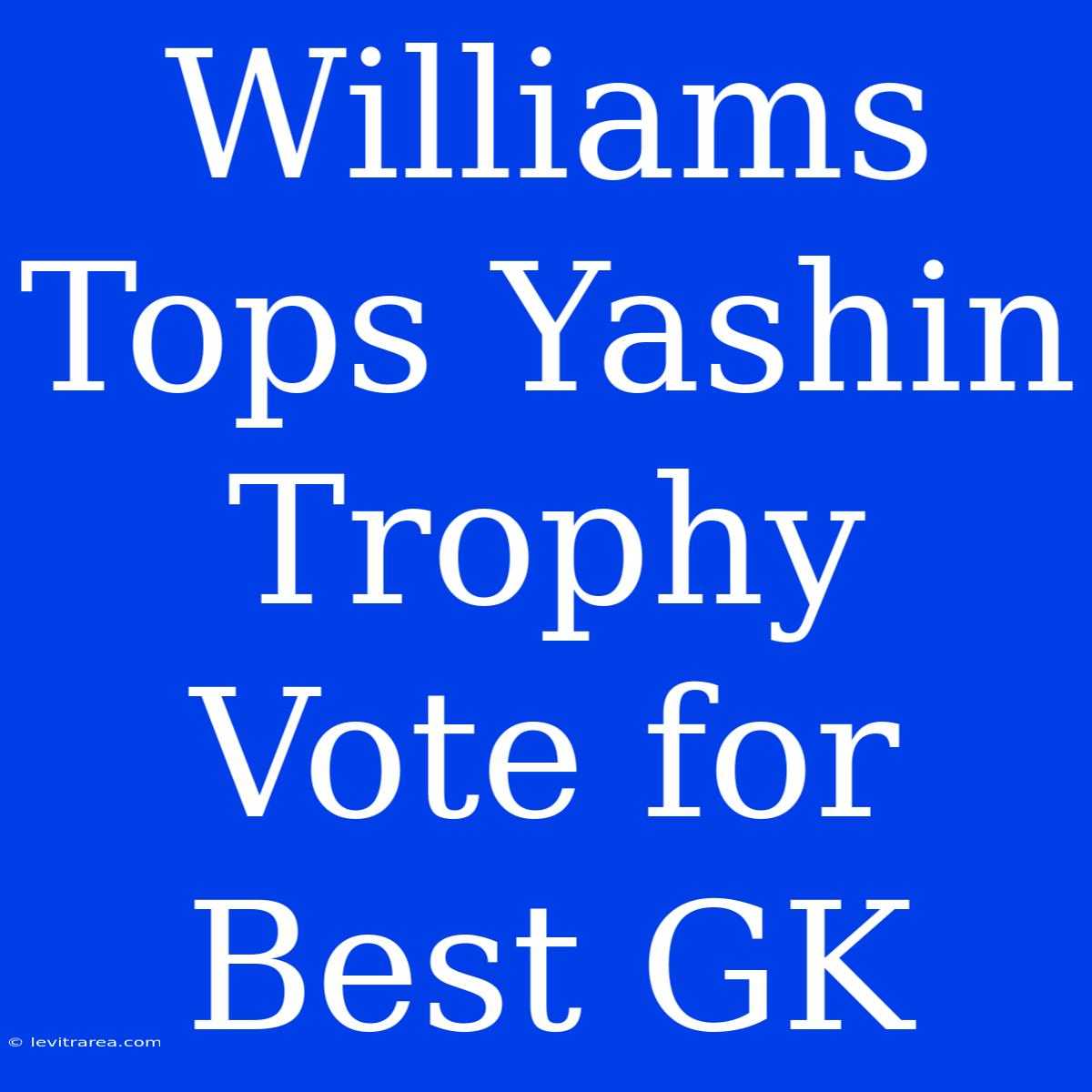 Williams Tops Yashin Trophy Vote For Best GK