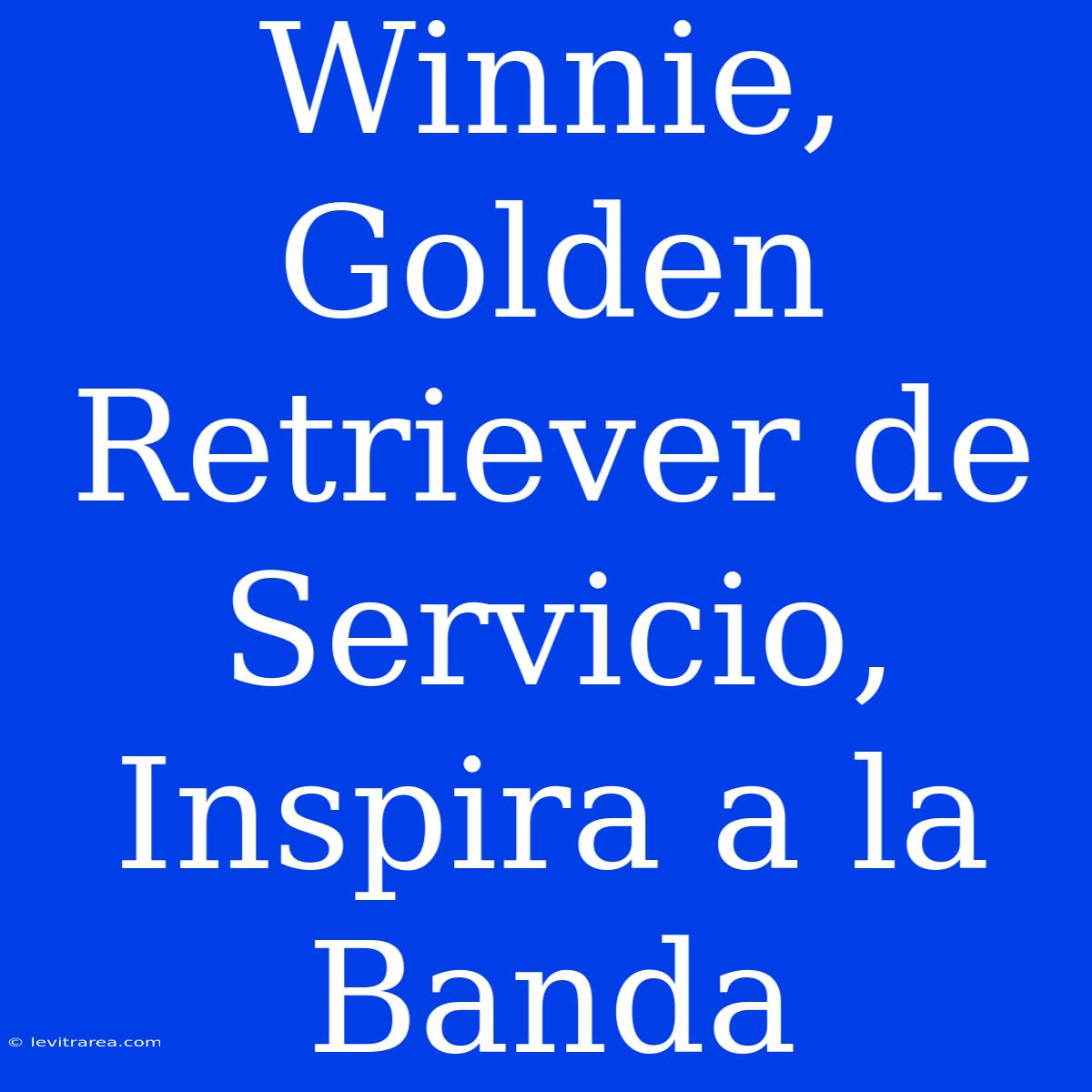 Winnie, Golden Retriever De Servicio, Inspira A La Banda