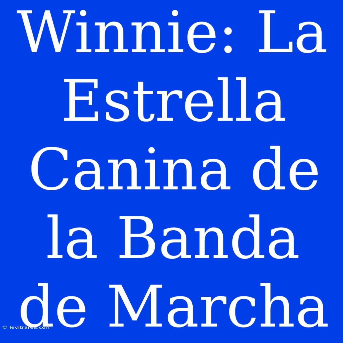 Winnie: La Estrella Canina De La Banda De Marcha