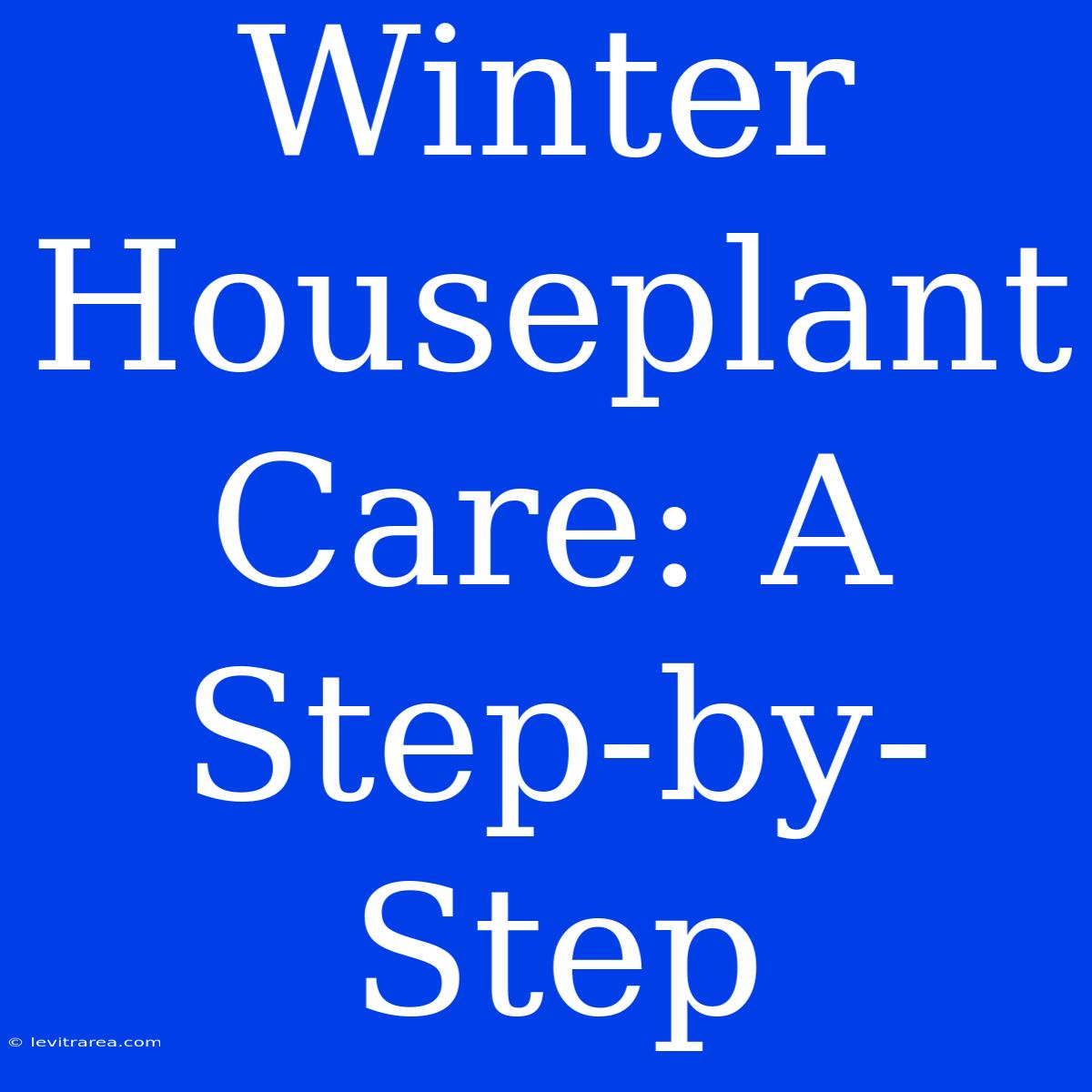 Winter Houseplant Care: A Step-by-Step