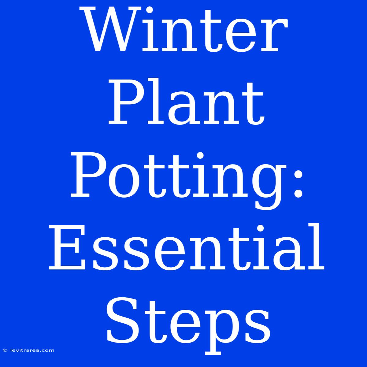 Winter Plant Potting: Essential Steps