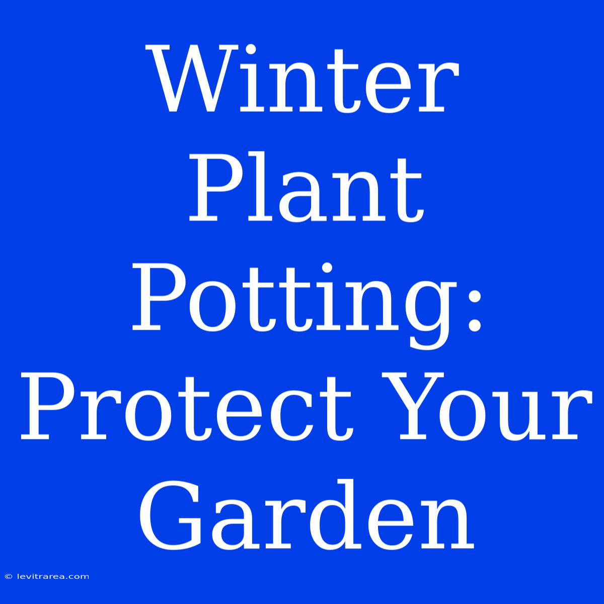 Winter Plant Potting: Protect Your Garden