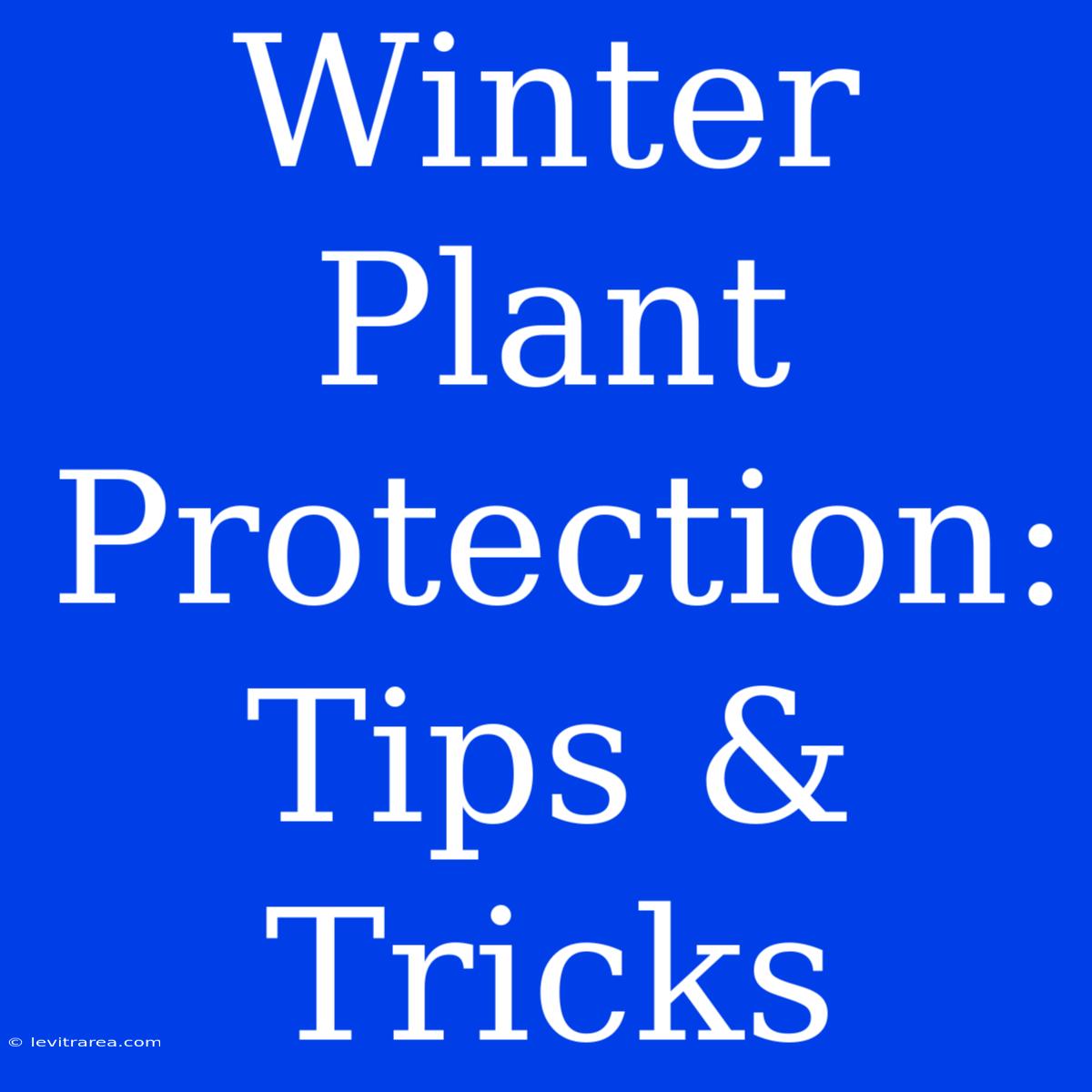 Winter Plant Protection: Tips & Tricks