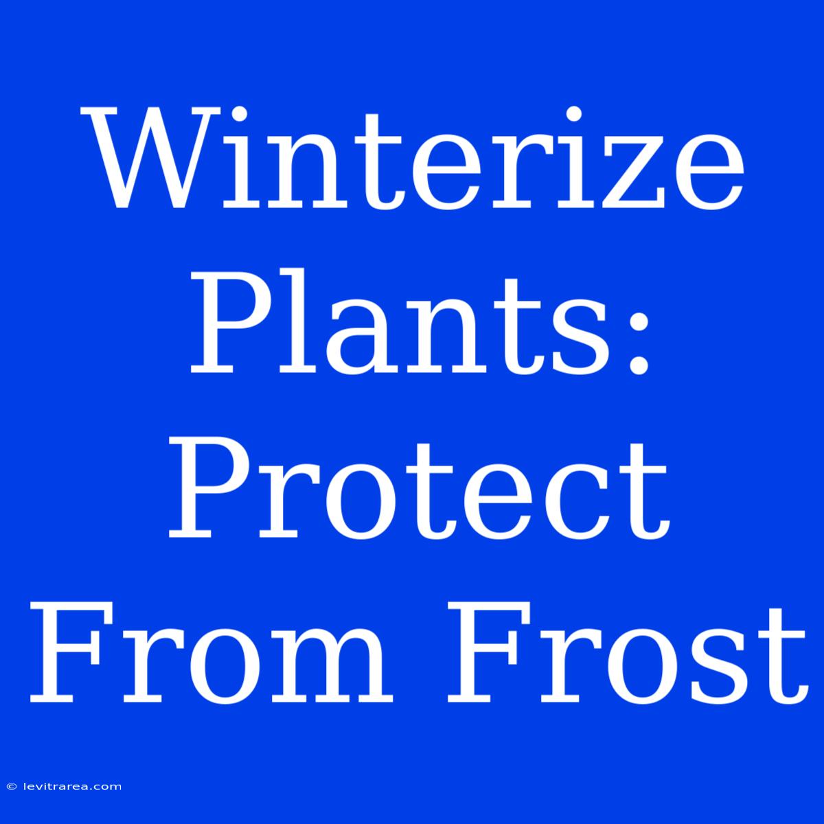 Winterize Plants: Protect From Frost