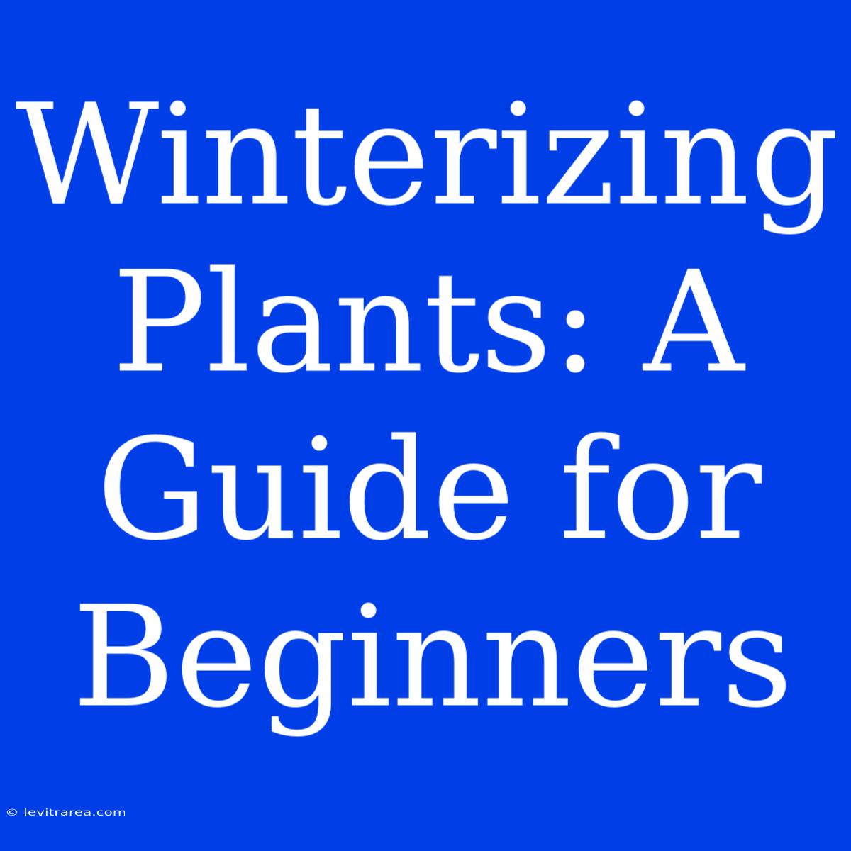 Winterizing Plants: A Guide For Beginners