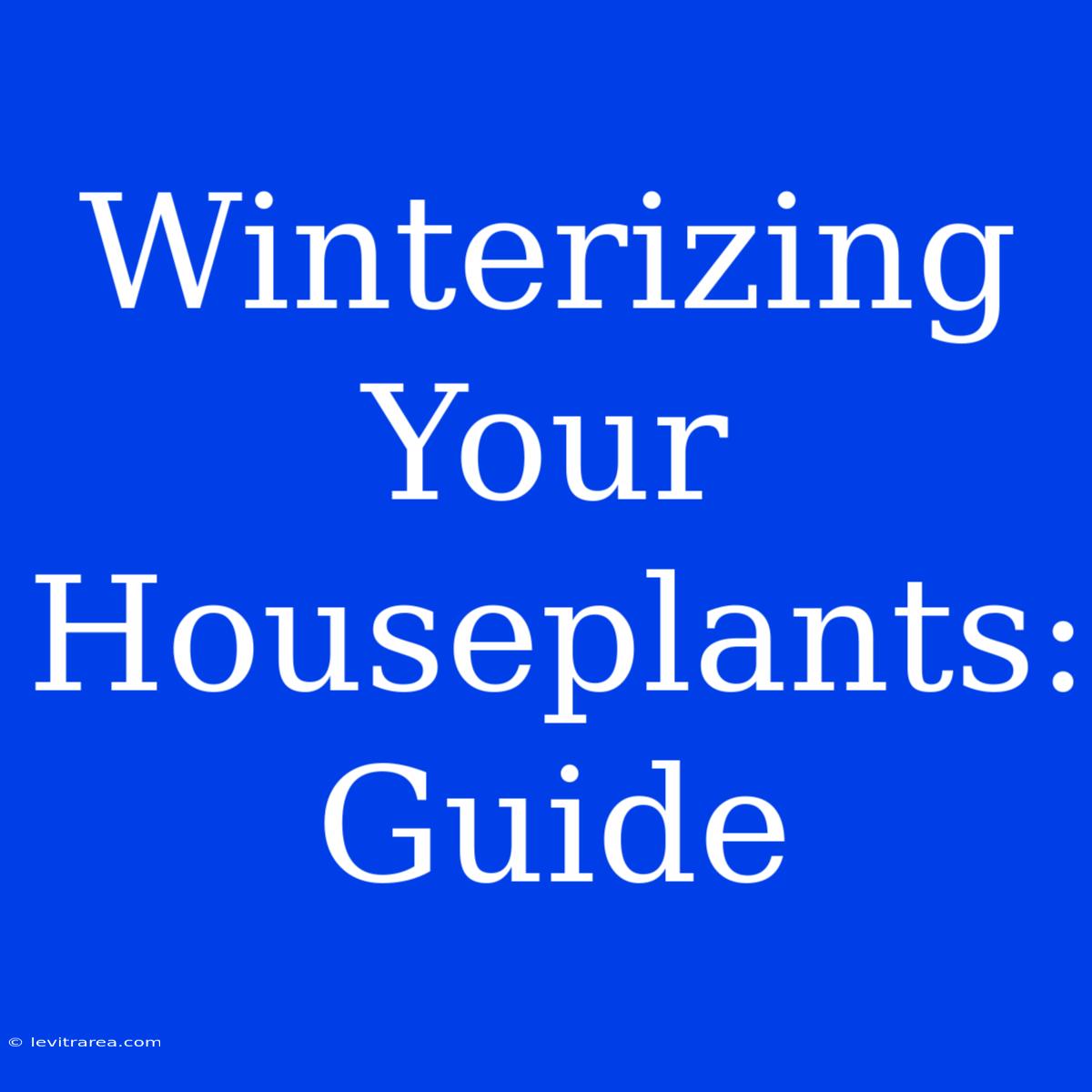 Winterizing Your Houseplants: Guide