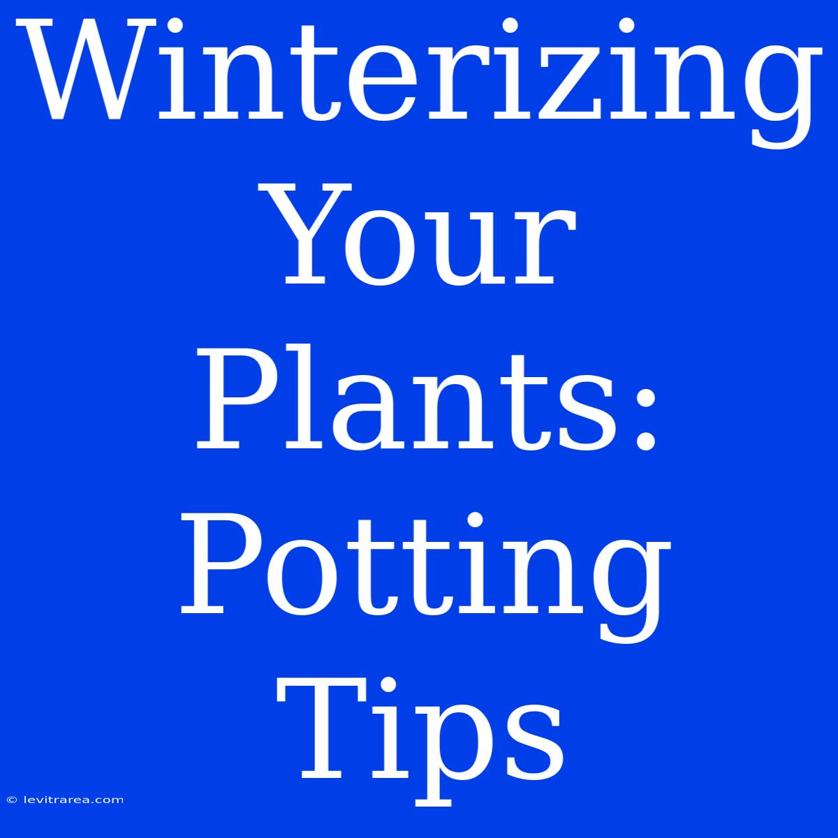 Winterizing Your Plants: Potting Tips