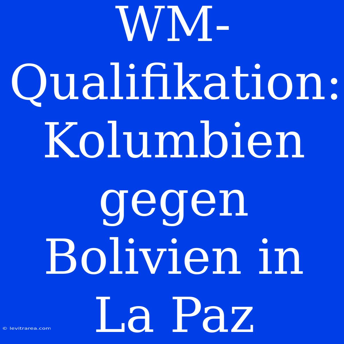 WM-Qualifikation: Kolumbien Gegen Bolivien In La Paz