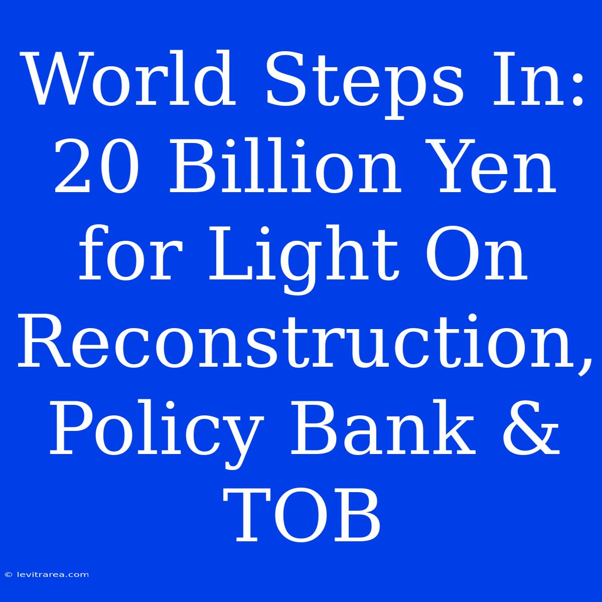 World Steps In: 20 Billion Yen For Light On Reconstruction, Policy Bank & TOB