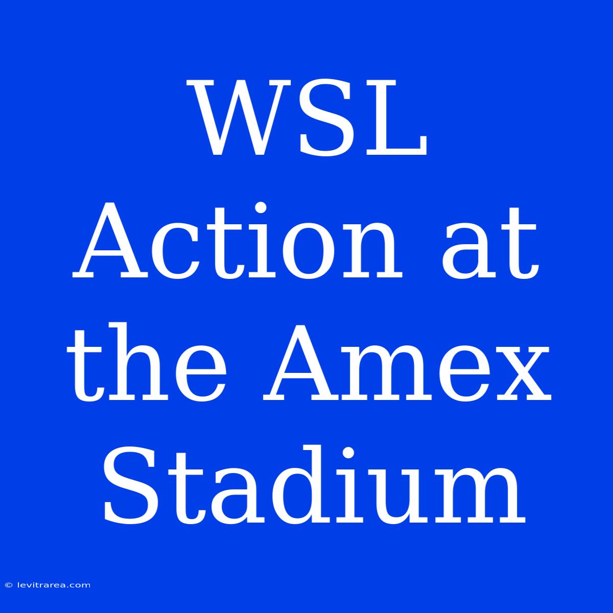 WSL Action At The Amex Stadium