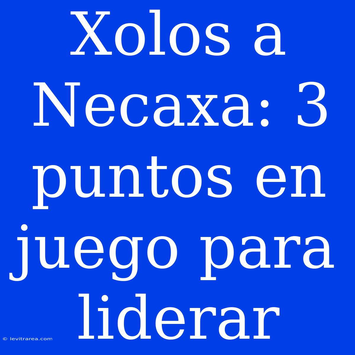 Xolos A Necaxa: 3 Puntos En Juego Para Liderar