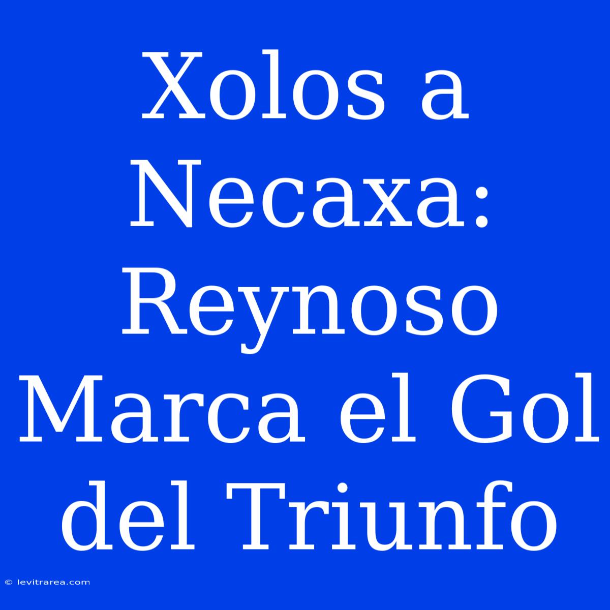 Xolos A Necaxa: Reynoso Marca El Gol Del Triunfo