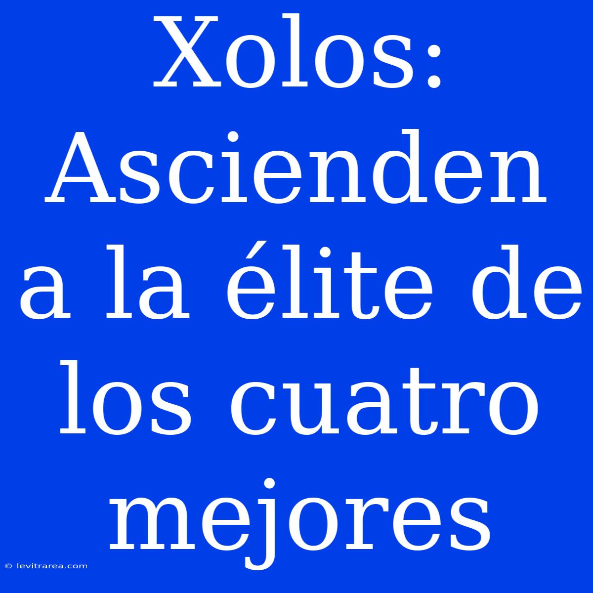 Xolos: Ascienden A La Élite De Los Cuatro Mejores