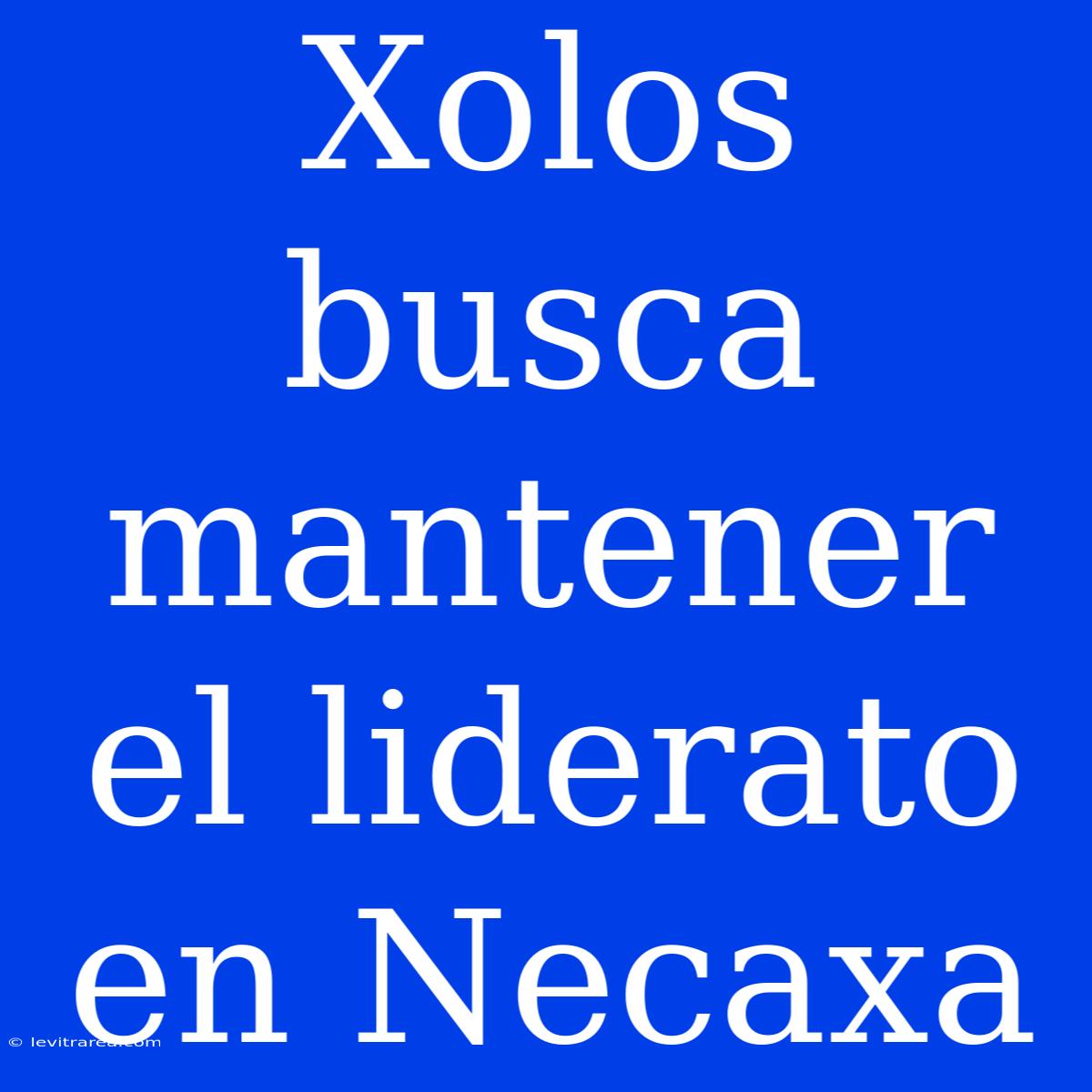 Xolos Busca Mantener El Liderato En Necaxa