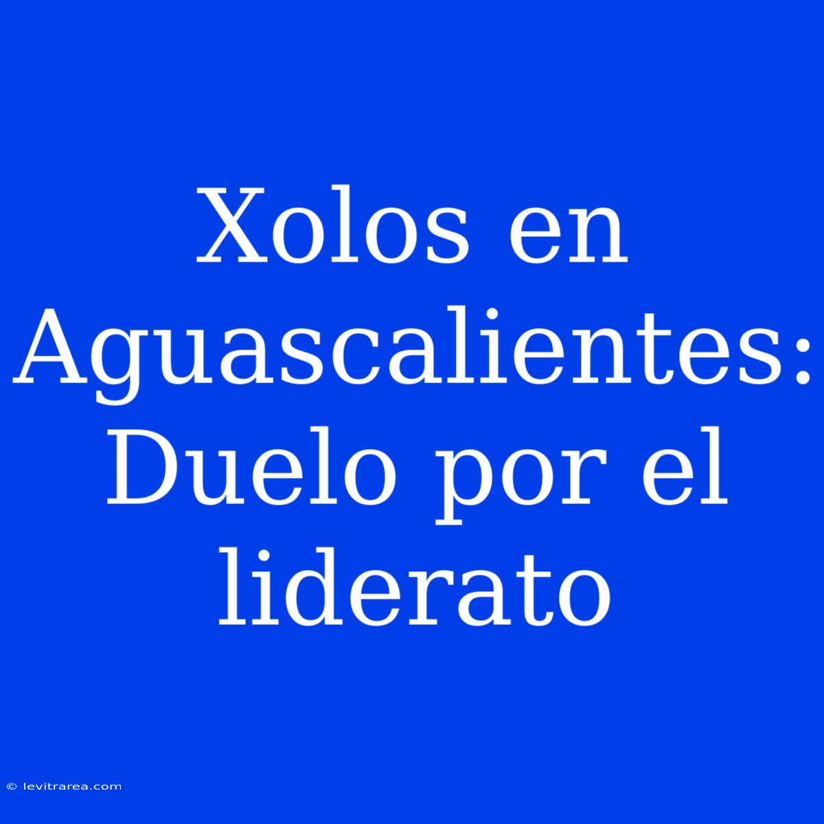 Xolos En Aguascalientes: Duelo Por El Liderato