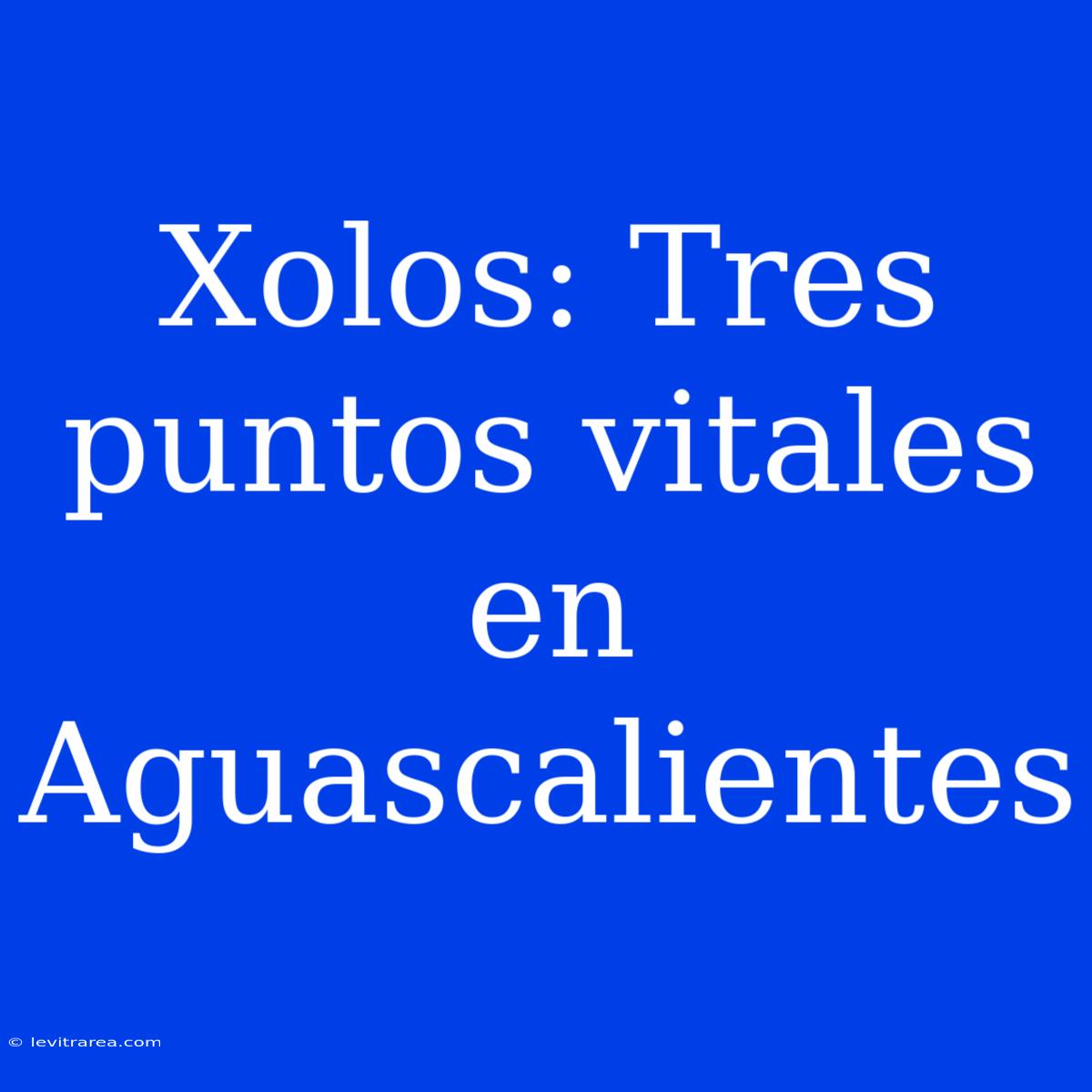 Xolos: Tres Puntos Vitales En Aguascalientes