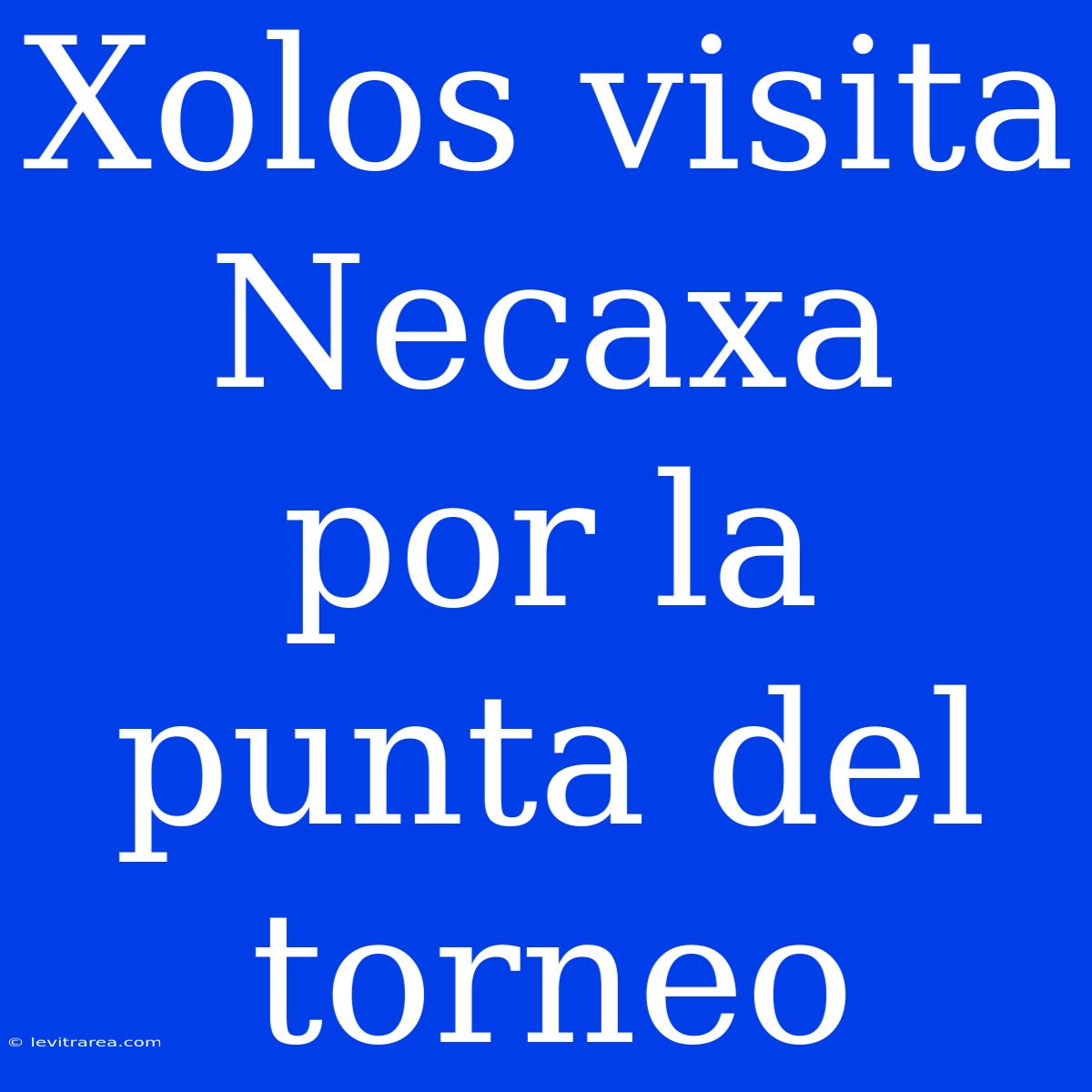 Xolos Visita Necaxa Por La Punta Del Torneo