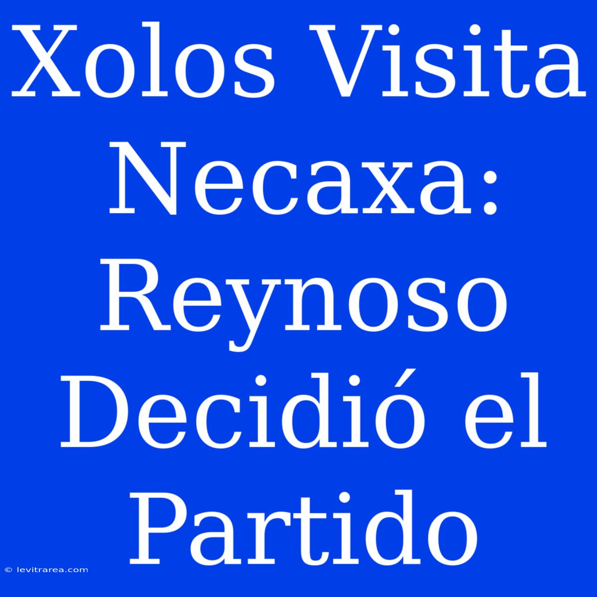 Xolos Visita Necaxa: Reynoso Decidió El Partido