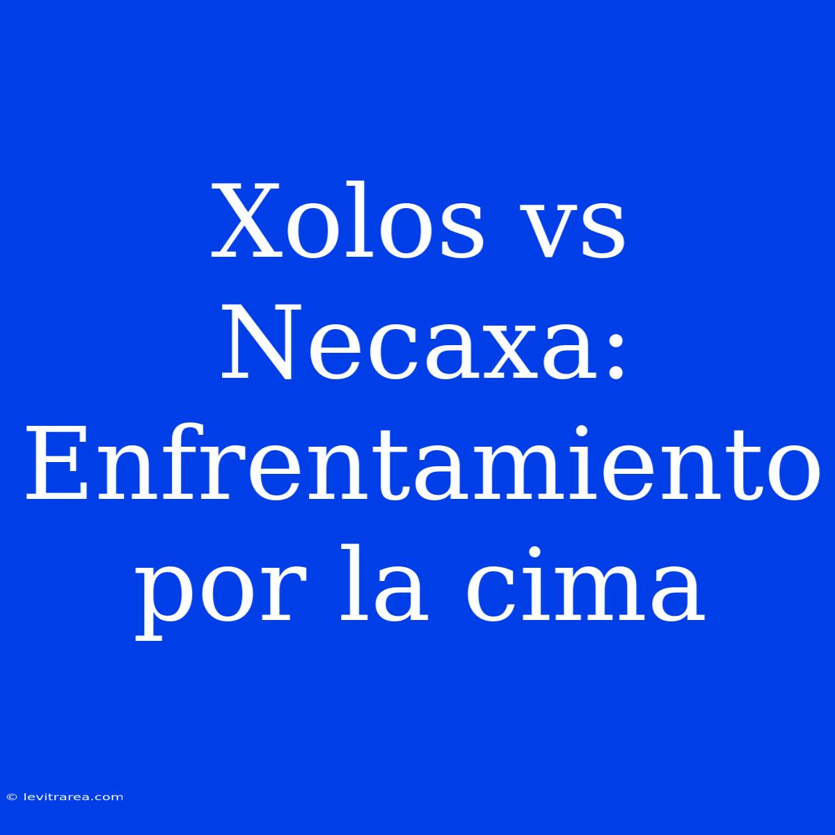 Xolos Vs Necaxa: Enfrentamiento Por La Cima