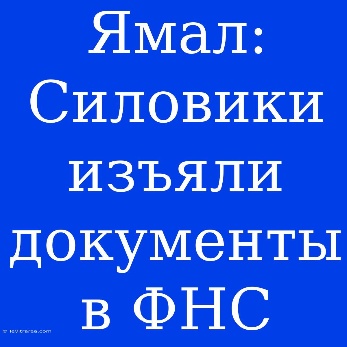 Ямал: Силовики Изъяли Документы В ФНС