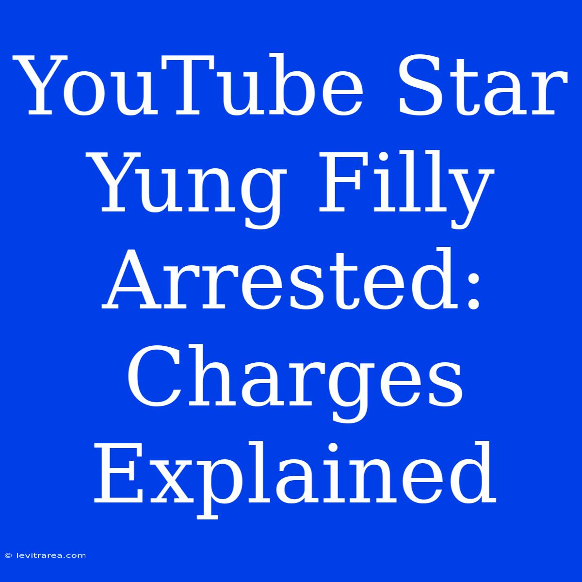 YouTube Star Yung Filly Arrested: Charges Explained