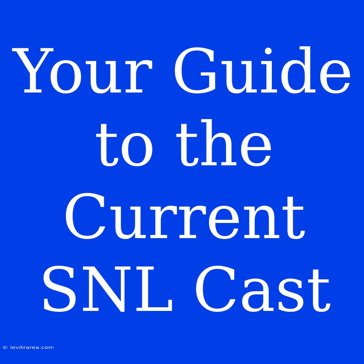 Your Guide To The Current SNL Cast