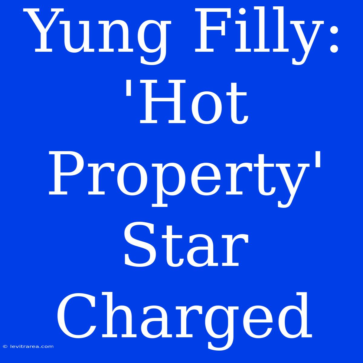 Yung Filly: 'Hot Property' Star Charged