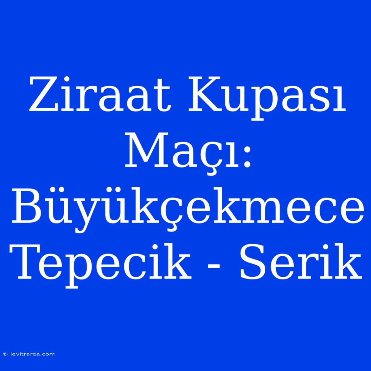 Ziraat Kupası Maçı: Büyükçekmece Tepecik - Serik