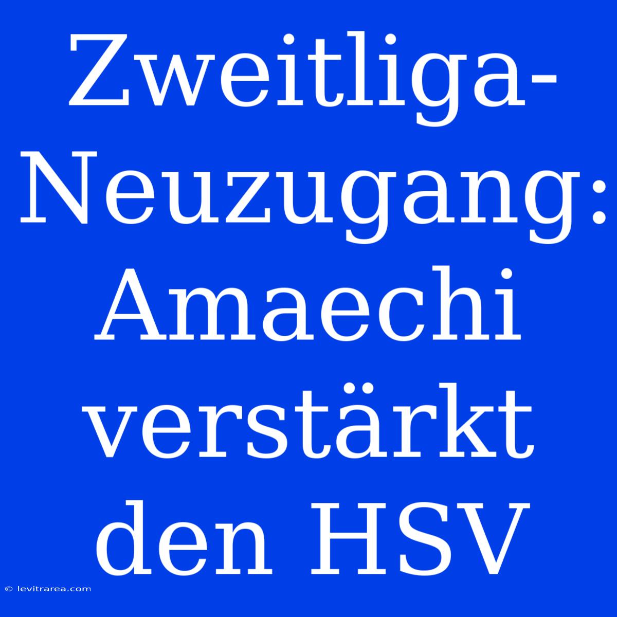 Zweitliga-Neuzugang: Amaechi Verstärkt Den HSV