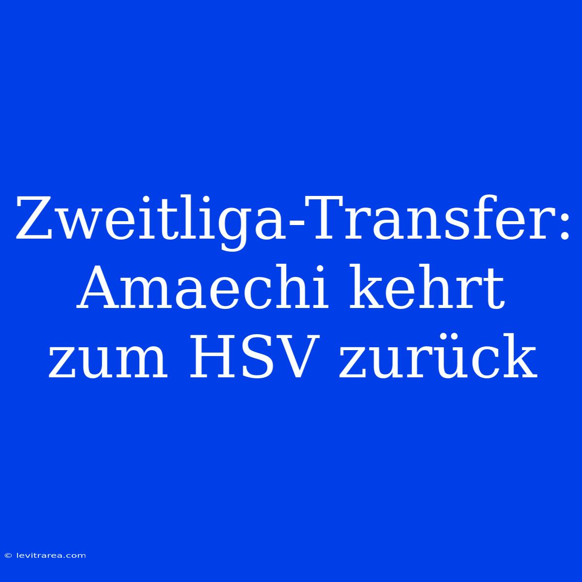 Zweitliga-Transfer: Amaechi Kehrt Zum HSV Zurück