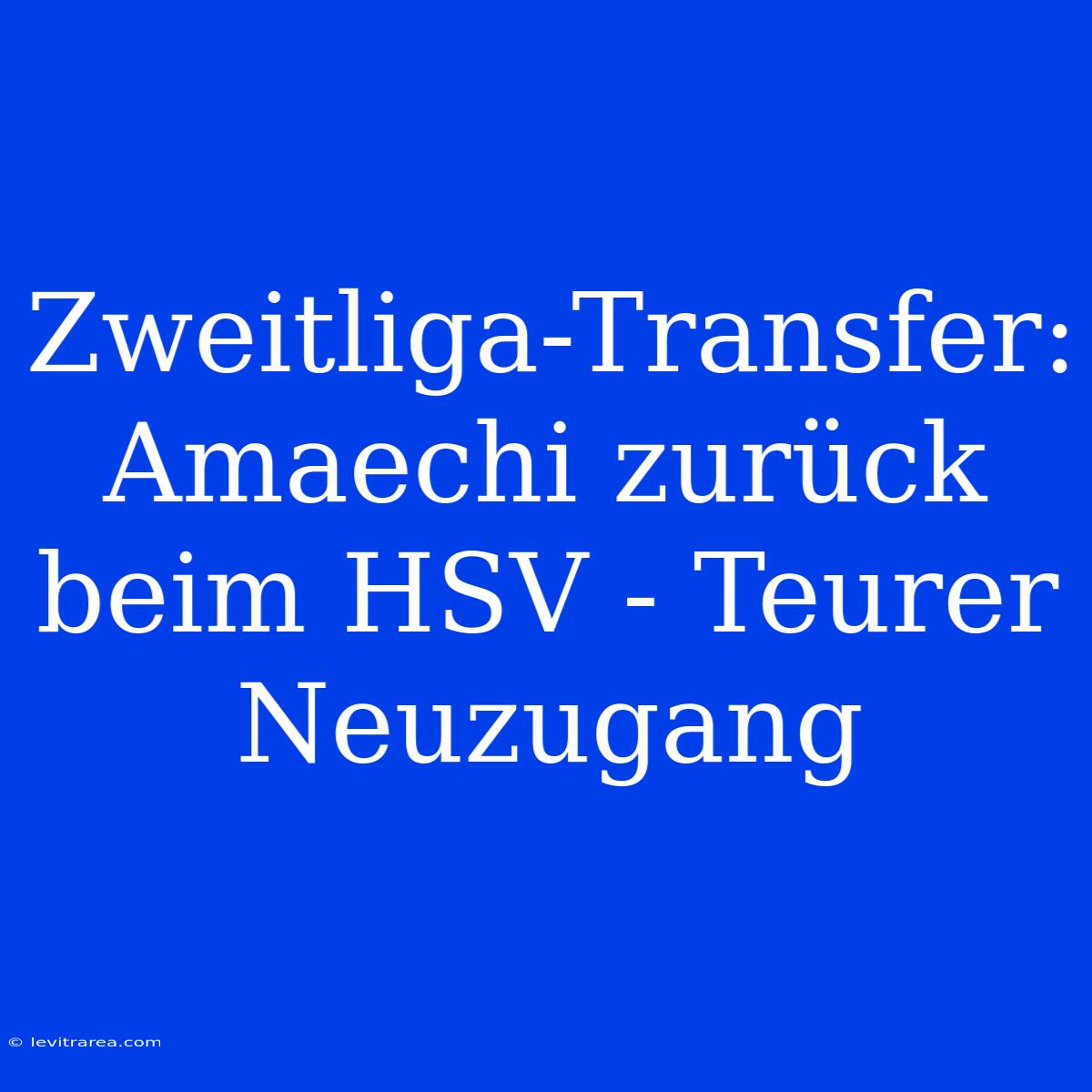 Zweitliga-Transfer: Amaechi Zurück Beim HSV - Teurer Neuzugang 